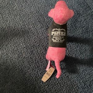 Victoria’s Secret min dog